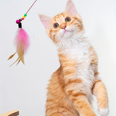 1pc Cat Toy, Steel Wire Bell Feather Tease Cat Stick, Elastic Steel Wire Feather Tease Cat Stick - Kerala Elegance