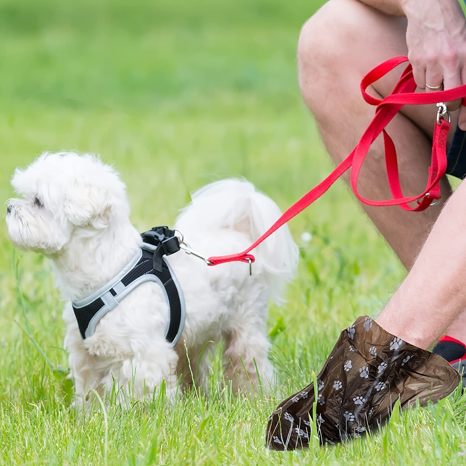 10 Rolls of 150pcs Strong and Durable Dog Poop Bags - Convenient, Easy to Use, and Assorted Colorful Designs - Bulk Pack for Dog Owners and Pet Lovers