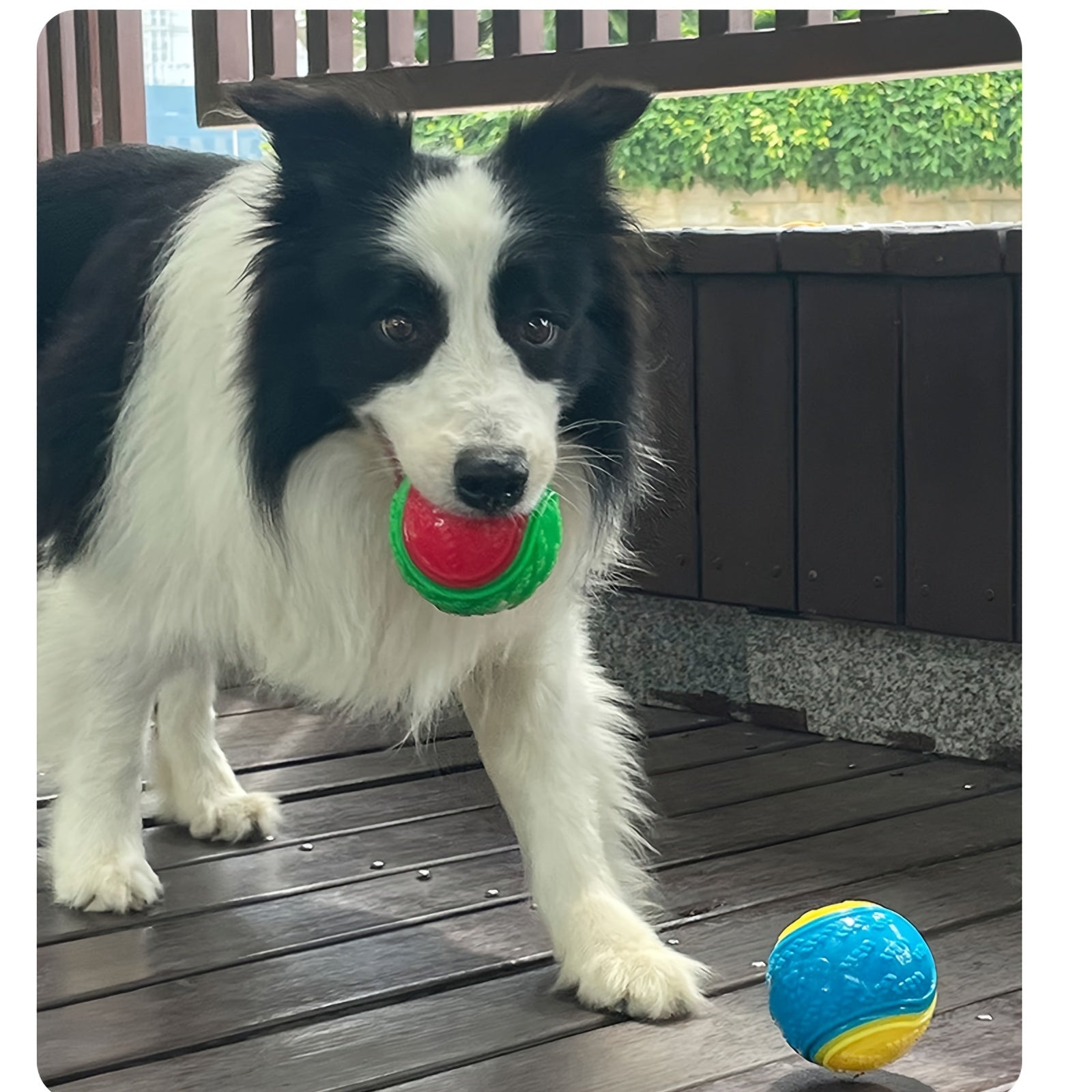 Durable Rubber Dog Toy Ball - Interactive Chew Toy For Medium & Large Breeds, Random Color - Kerala Elegance