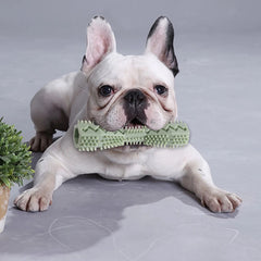 Dog Toothbrush Toy: Soft Rubber Molar Stick For Interactive Cleaning & Chewing! - Kerala Elegance