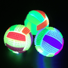 1pc Dog Glowing Molar Burr Ball Toys Elastic Ball Dog Toy For Dog Interactive Supplies - Kerala Elegance