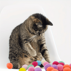 Interactive Launch Training Cat Toys - Creative Kittens Mini Pompoms Games - Stretch Plush Ball Toys For Cats - Pet Accessories - Kerala Elegance