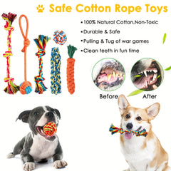 20 PCS Dog Toys, Puppy Chew Toys For Fun And Teeth Cleaning, Dog Squeak Toys, Treat Dispenser Ball, Tug Of War Toys, Puppy Teething Toys, Dog Rope Toys Pack For Medium To Small Dogs - Kerala Elegance