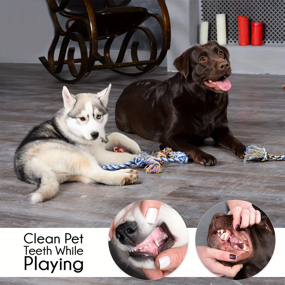 6/10/15/23/30 Pcs Dog Toys - Durable And Interactive for Small And Medium Dogs - No Batteries Required - Kerala Elegance