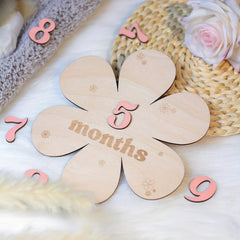 1 Set Wooden Monthly Milestone Cards, Wooden Announcement Signs, Photography Props, Month Round Sign, Wooden Milestone Birth Sign, Photography Milestones, First Year Growth Cards, Pregnancy Journey Milestone Cards