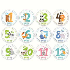 12pcs Milestone Stickers, Growth Journey Record Stickers, Photography Props