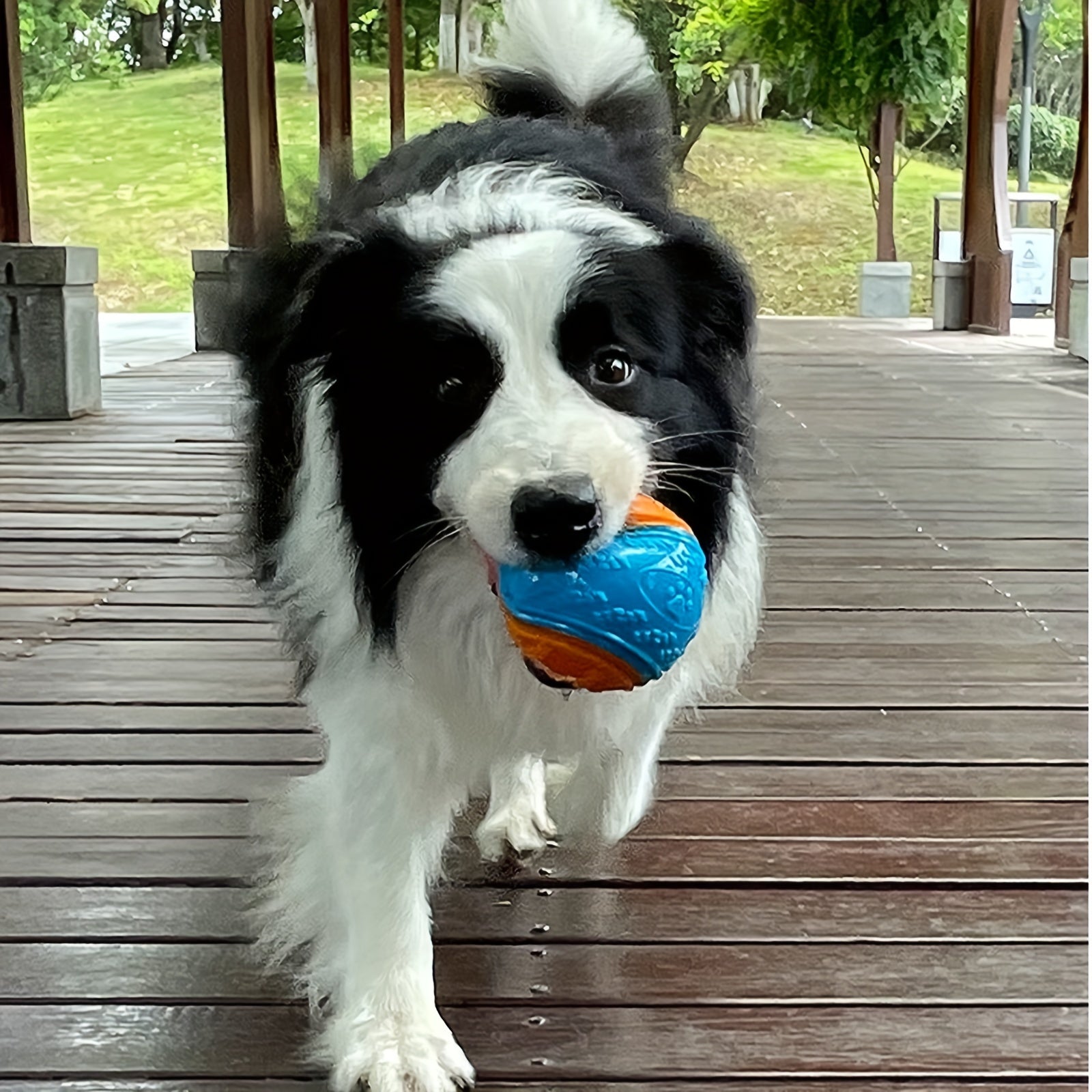 Durable Rubber Dog Toy Ball - Interactive Chew Toy For Medium & Large Breeds, Random Color - Kerala Elegance